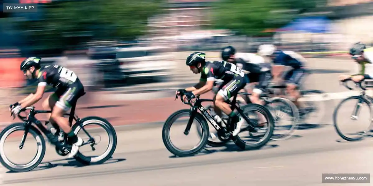 为什么选择我们